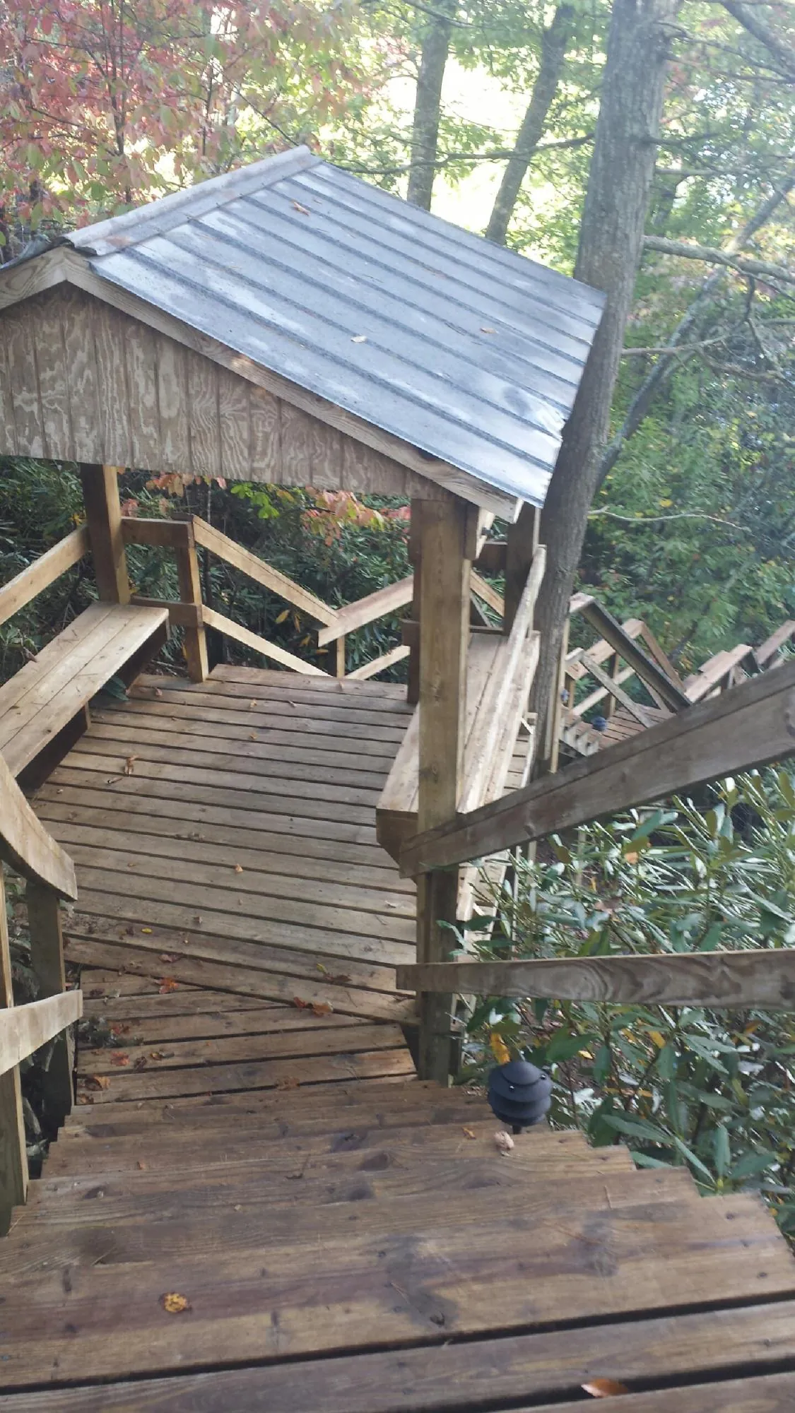 Metal roofed shelter over wooden steps on a wooded walkway — Skylight Repair & Installation work by our crew in Sumas